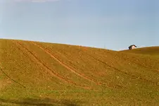na widoku