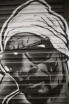 Snoop na płocie