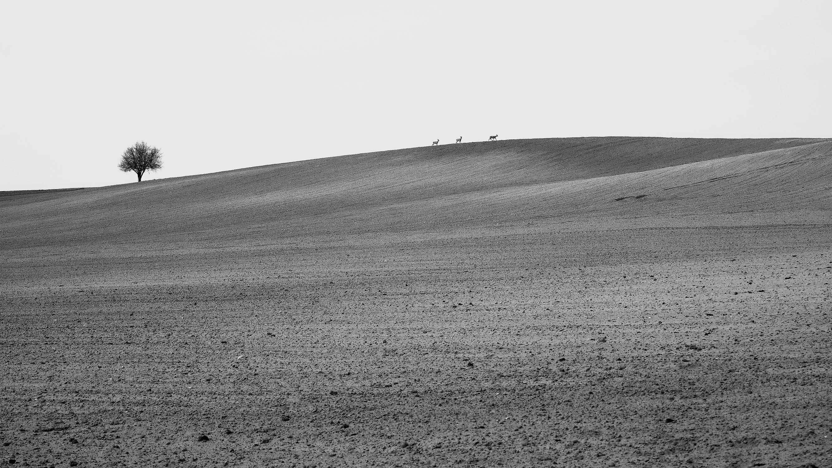Dobrze zagospodarowana przestrzeń