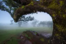 "ZAGUBIONA W MAGII FANAL"