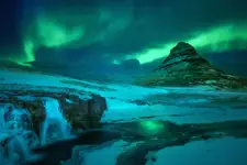 "ZIELONY SEN PÓŁNOCY"