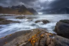 „ZIMNY WIECZÓR”