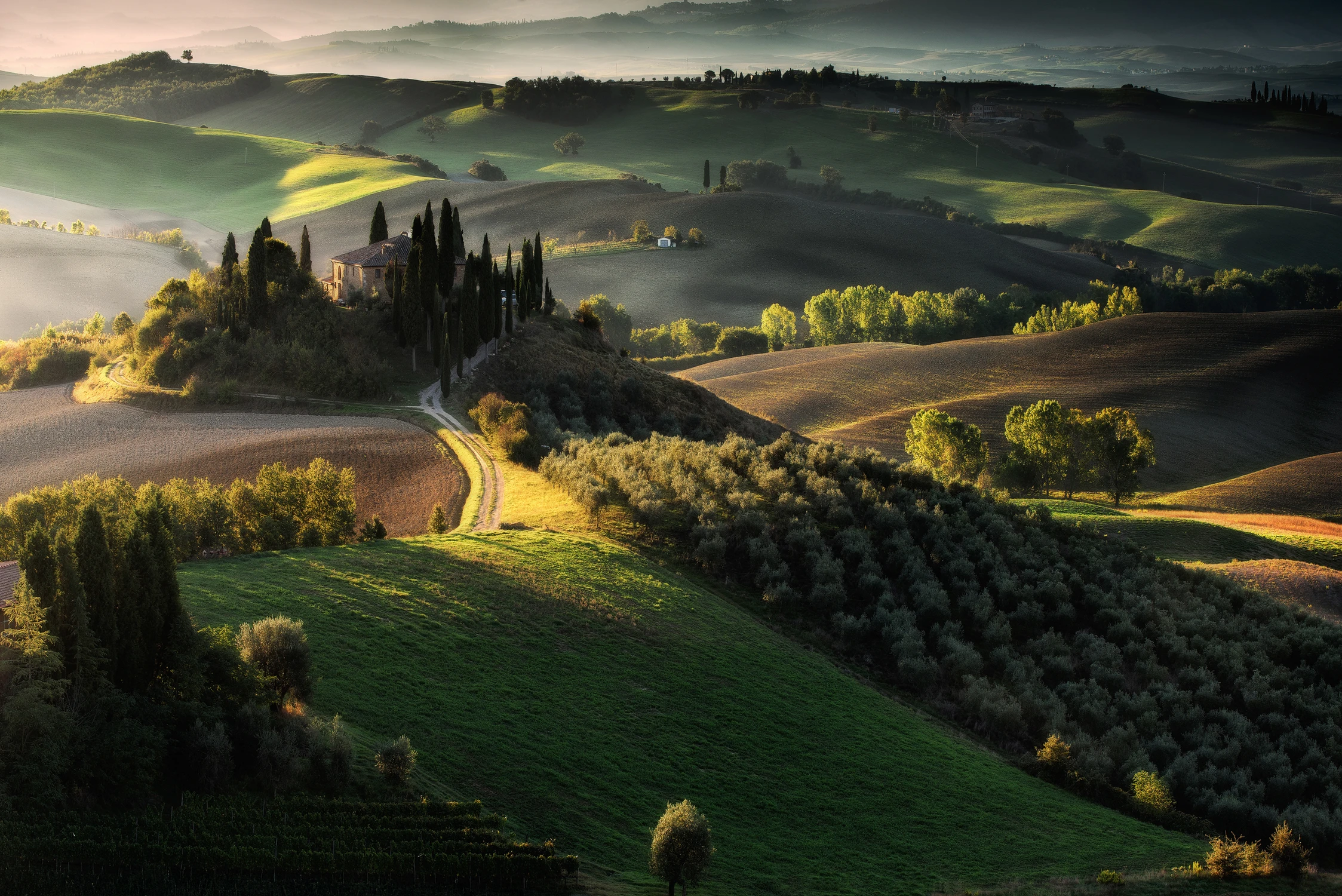 "PORANEK ZAPISANY ŚWIATŁEM"