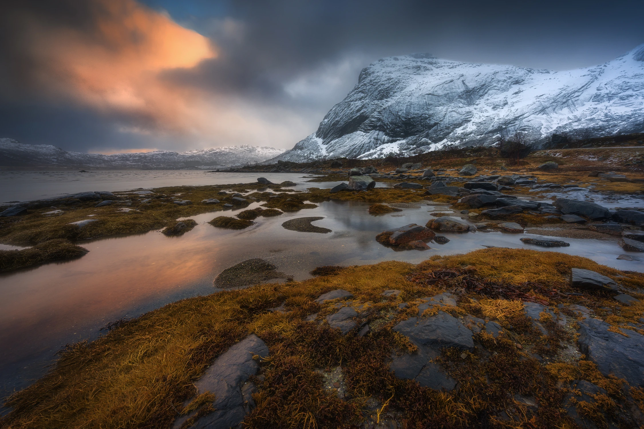 "PAMIĘĆ CHŁODU I ŚWIATŁA"