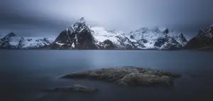 Obscured by white shades