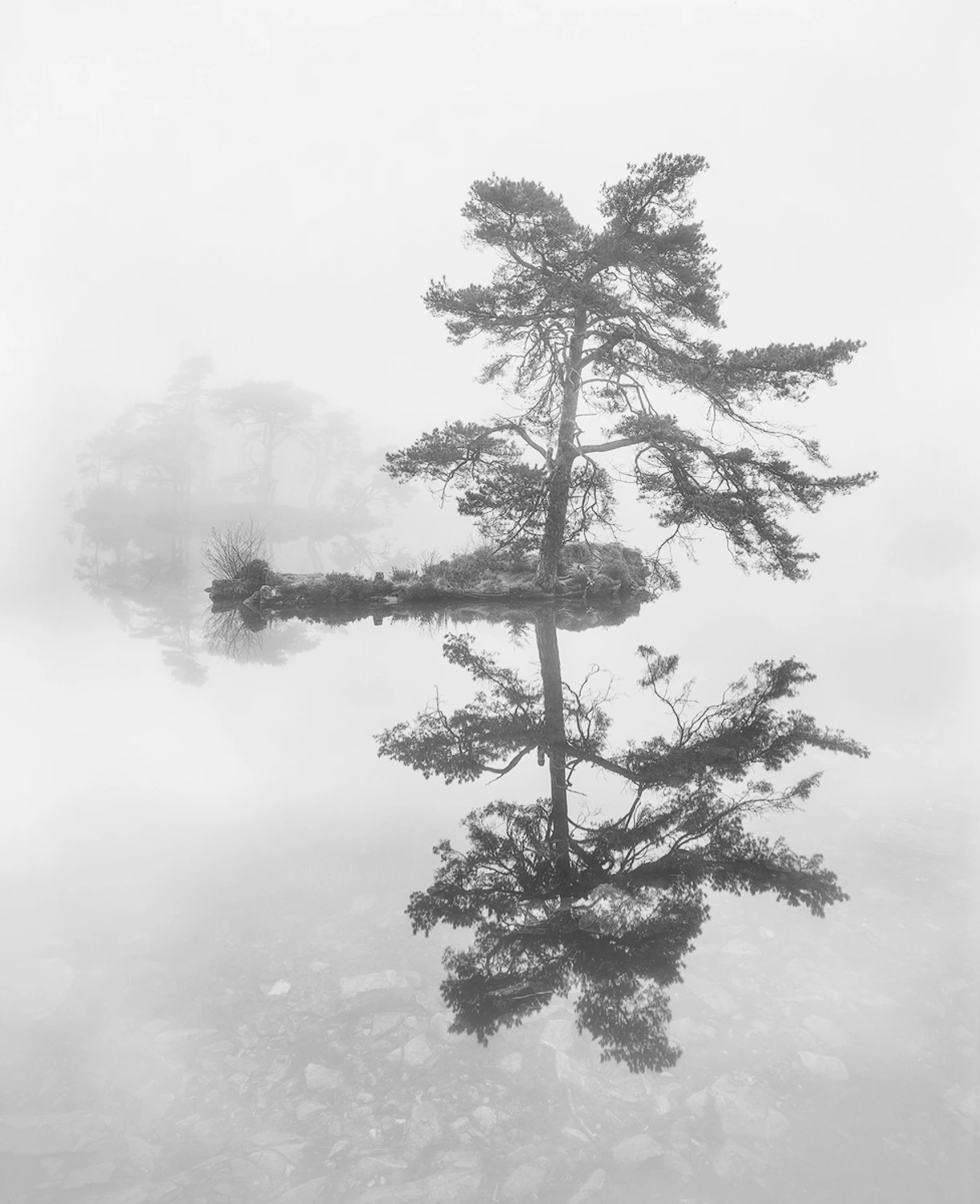 Reminiscencje mgliste