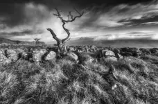 Gdzieś ponad dolinami