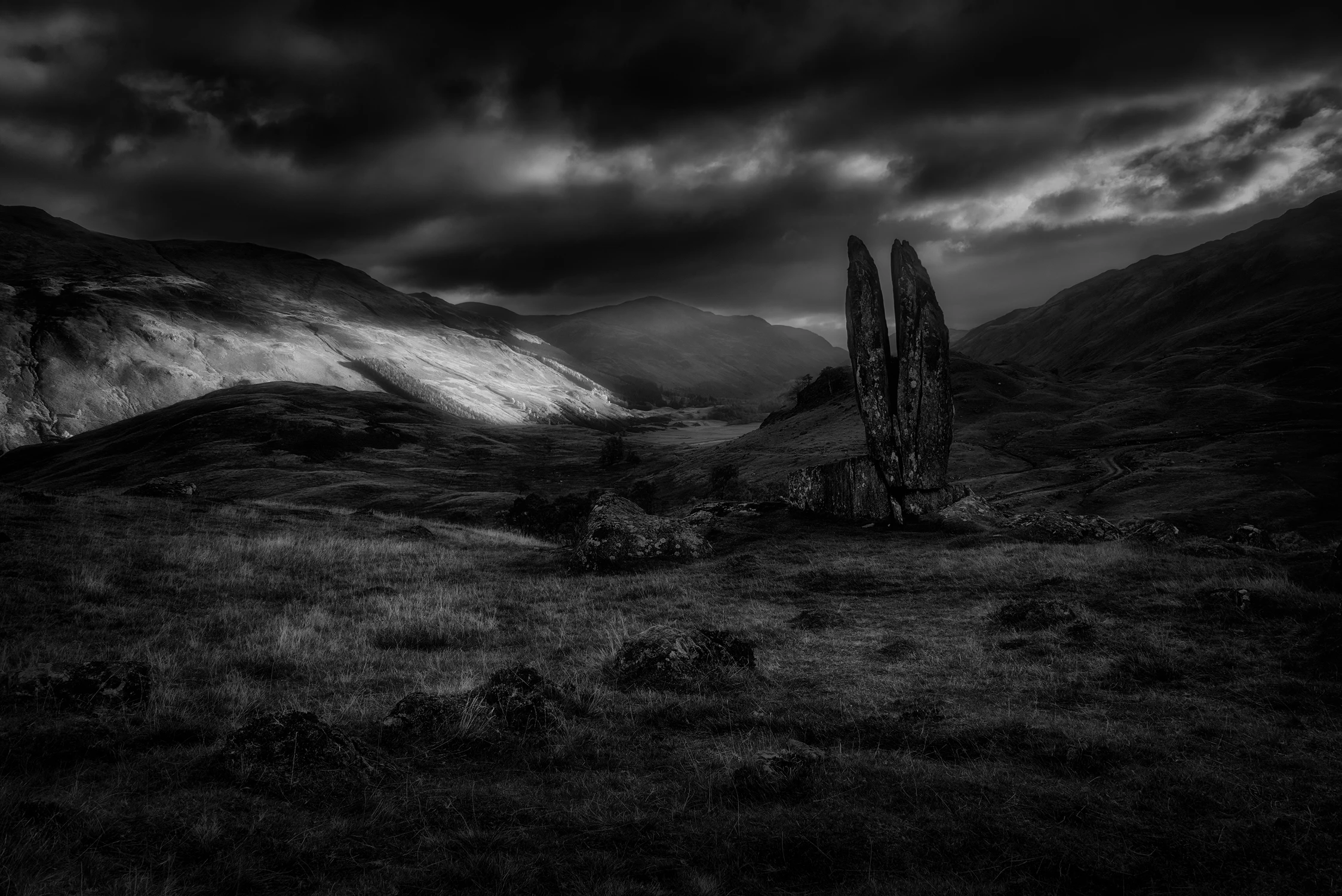 Praying Hands of Mary