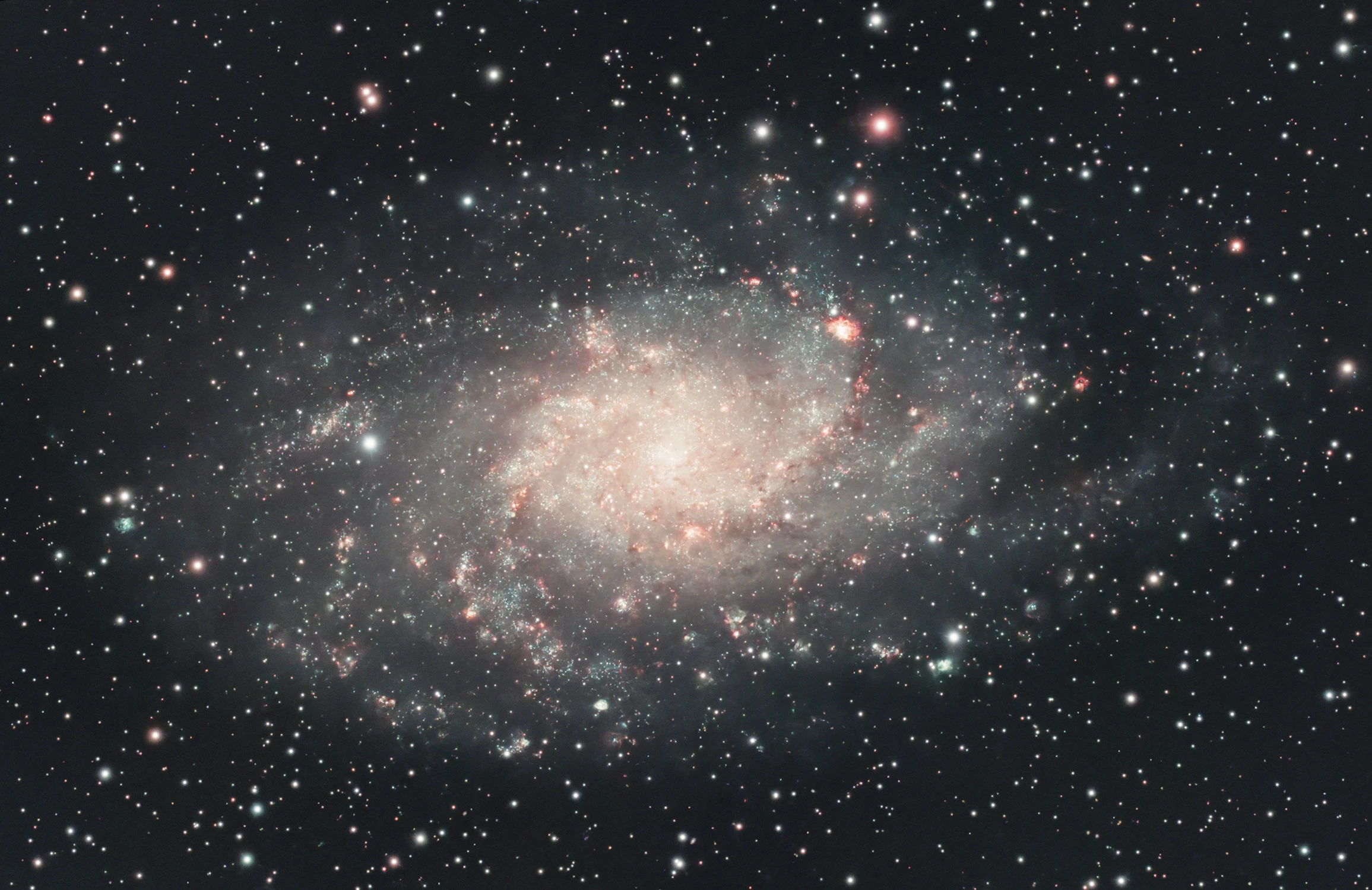 M 33