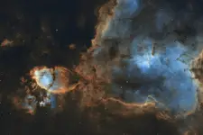 Jakby ryba z fragmentem jakby serca