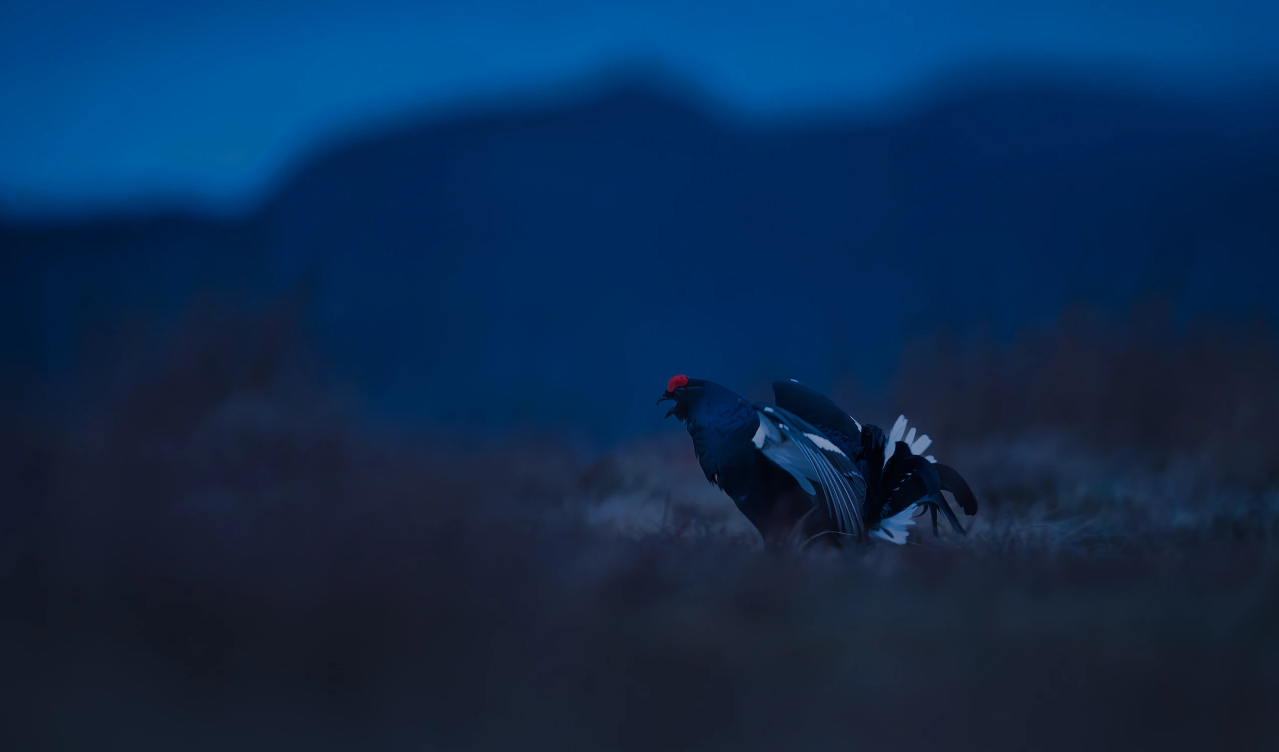 Na granicy nocy i dnia