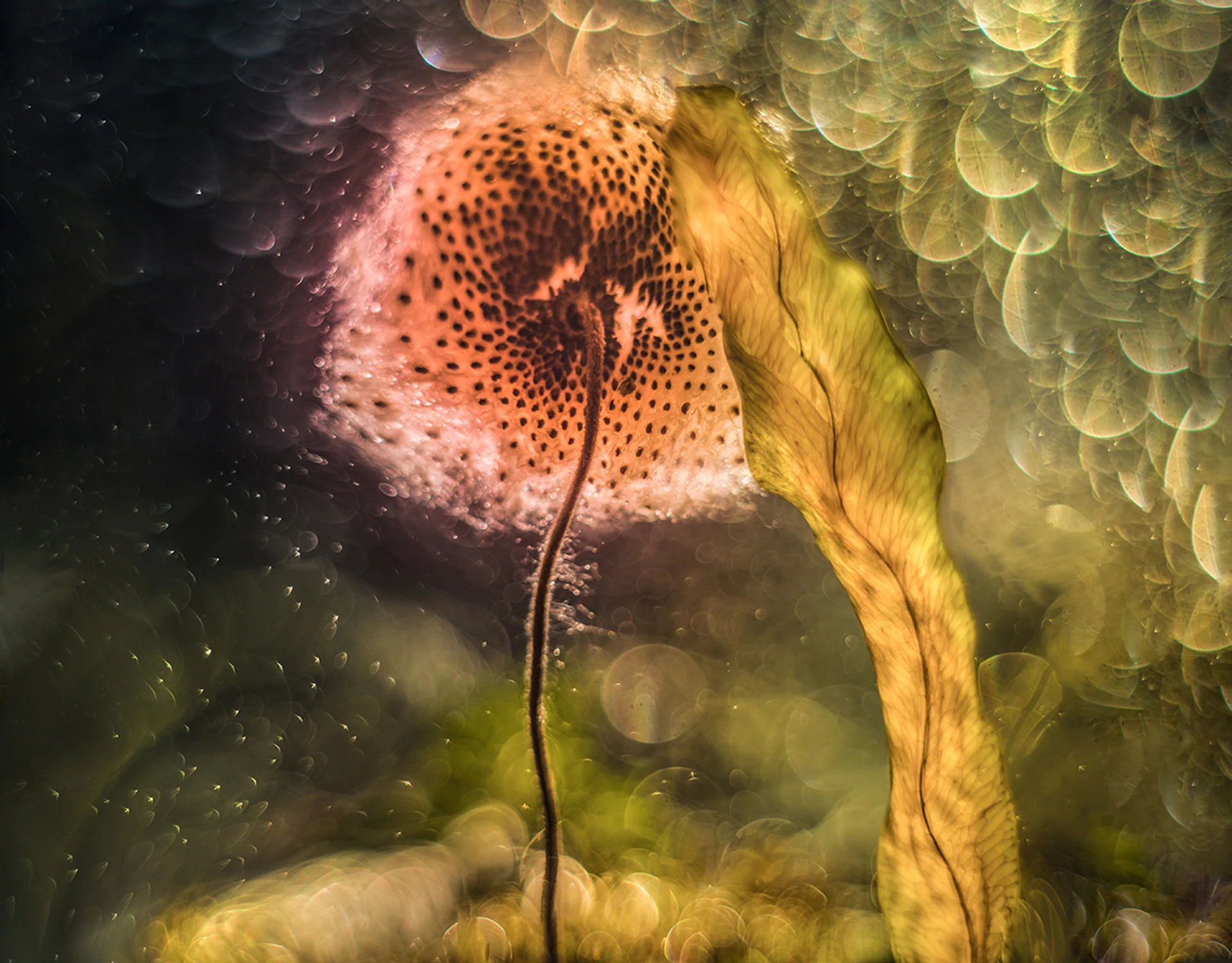 o tworzeniu połączeń