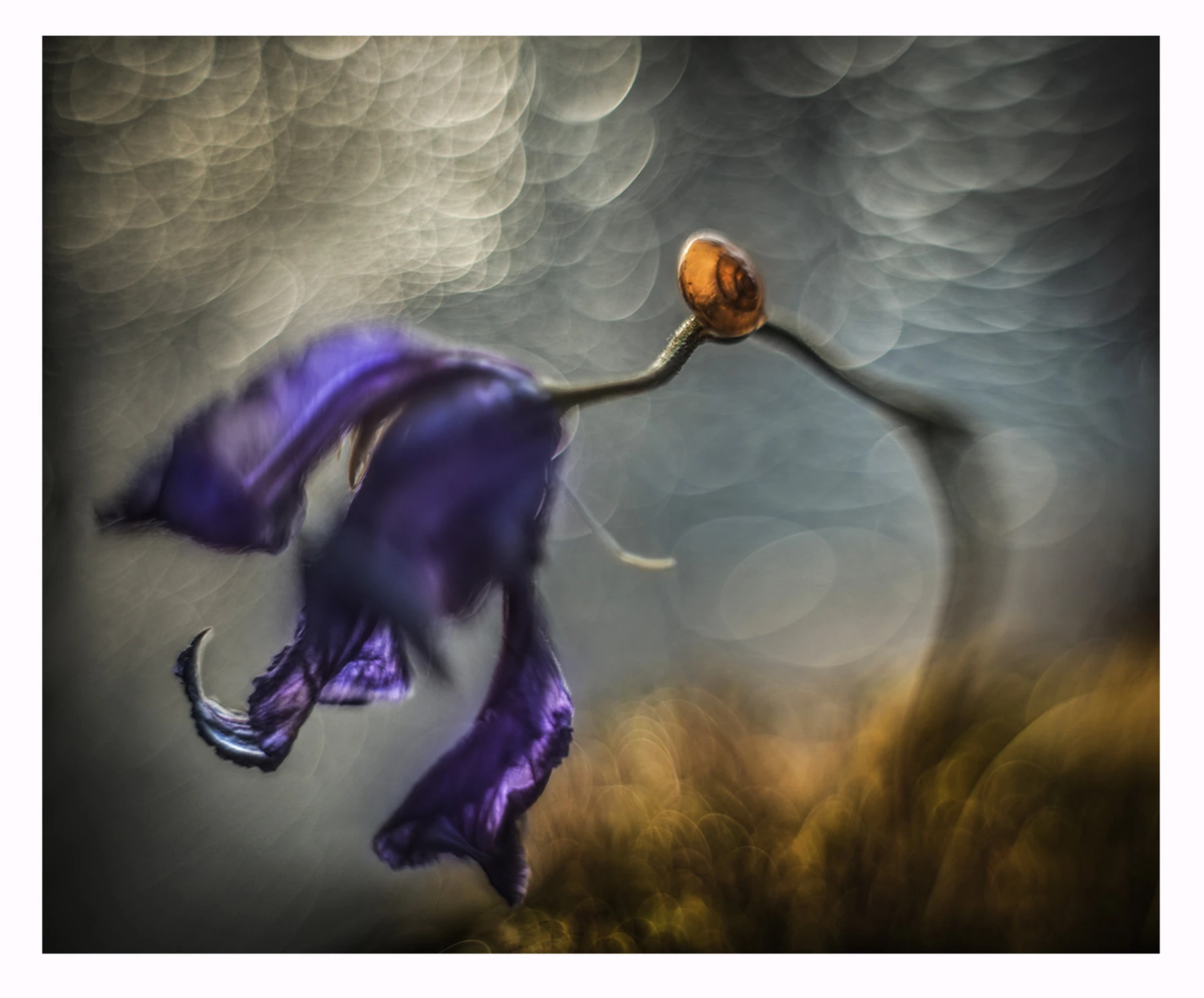 wyobrażenie połączeń