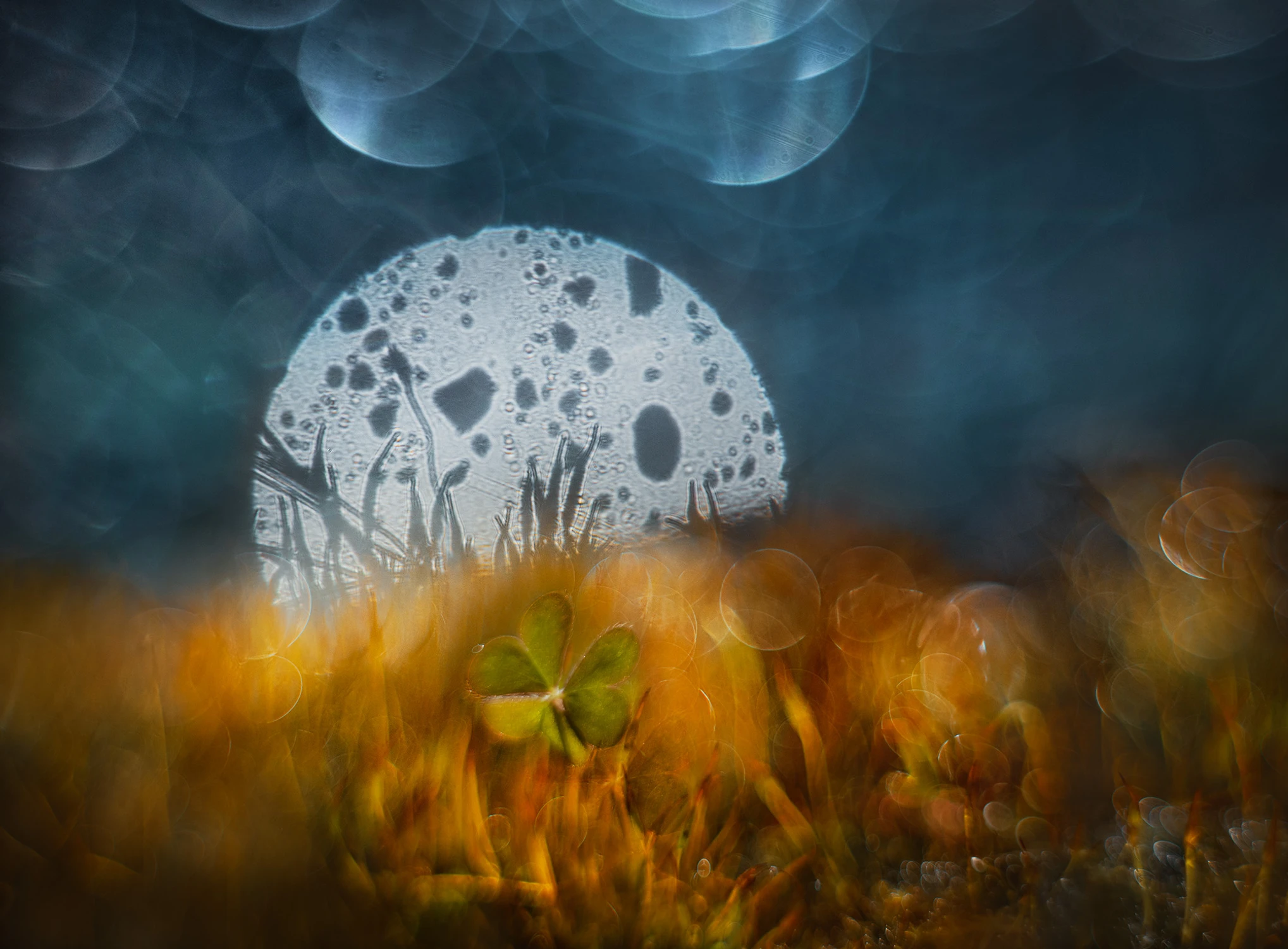 równoważenie światów