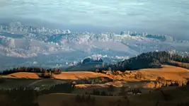 Napf