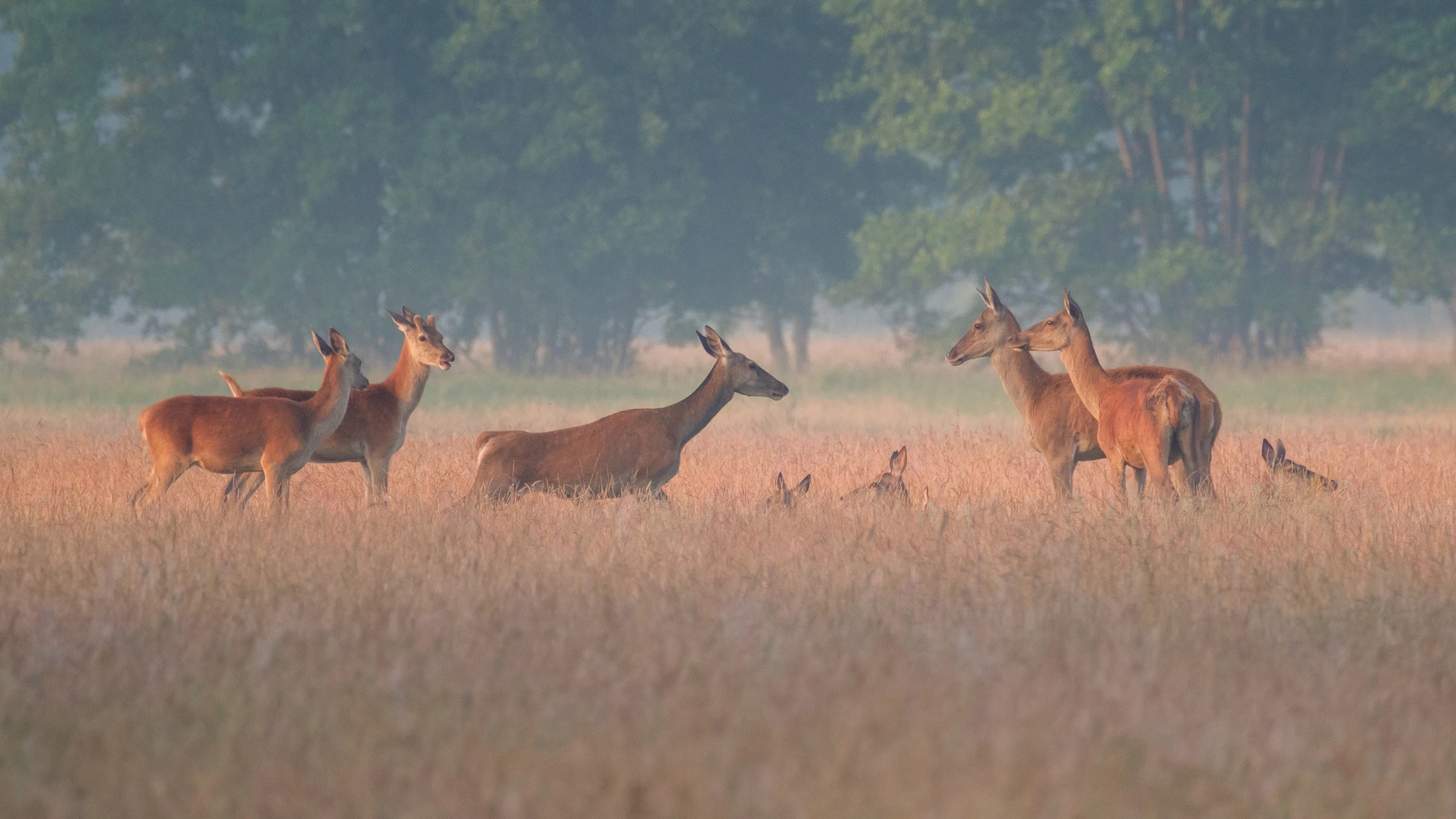 Postoimy, poleżymy , pogadamy..