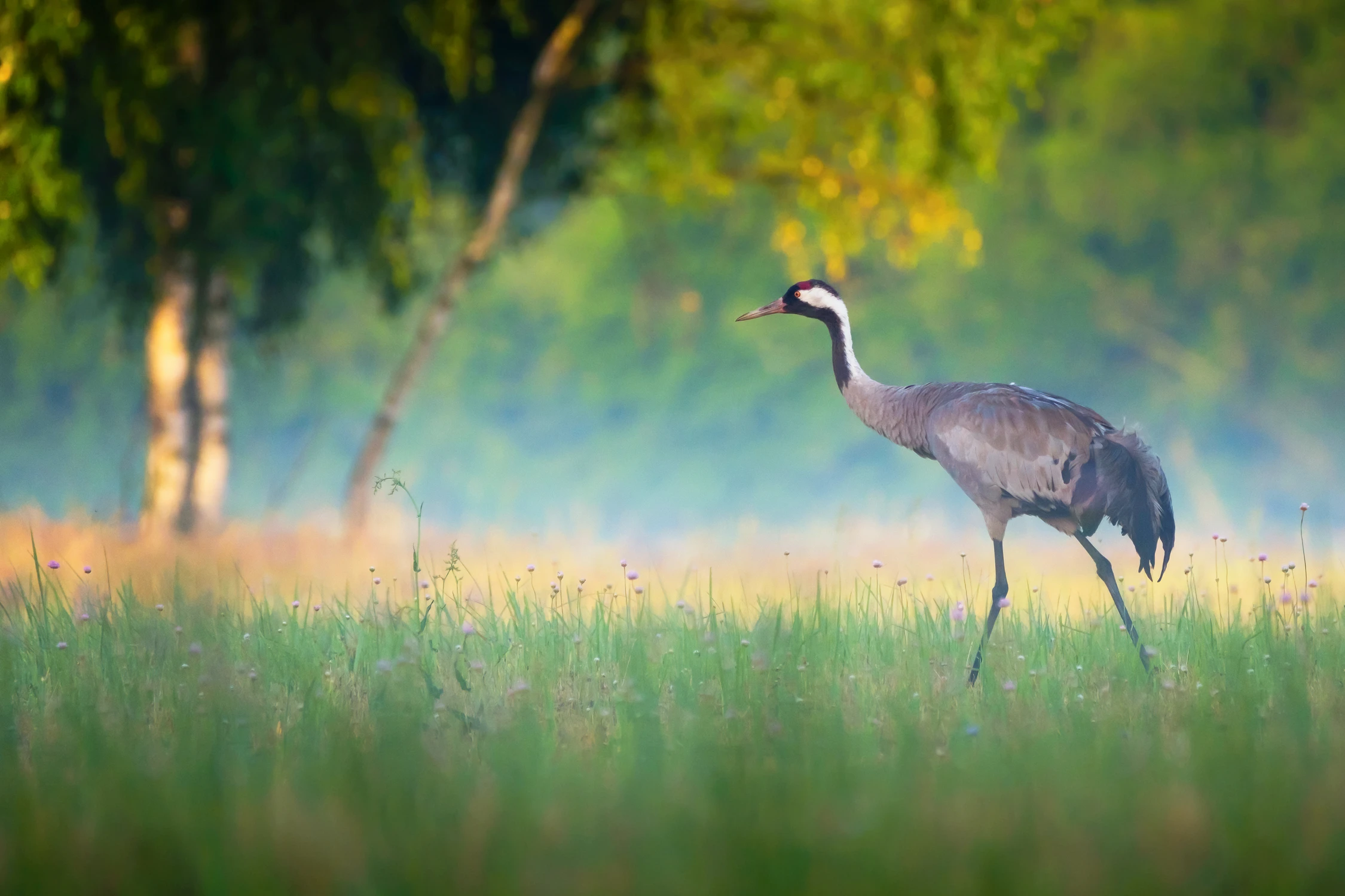 Dzień jak co dzień 