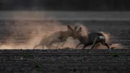 Pozowanie master level 