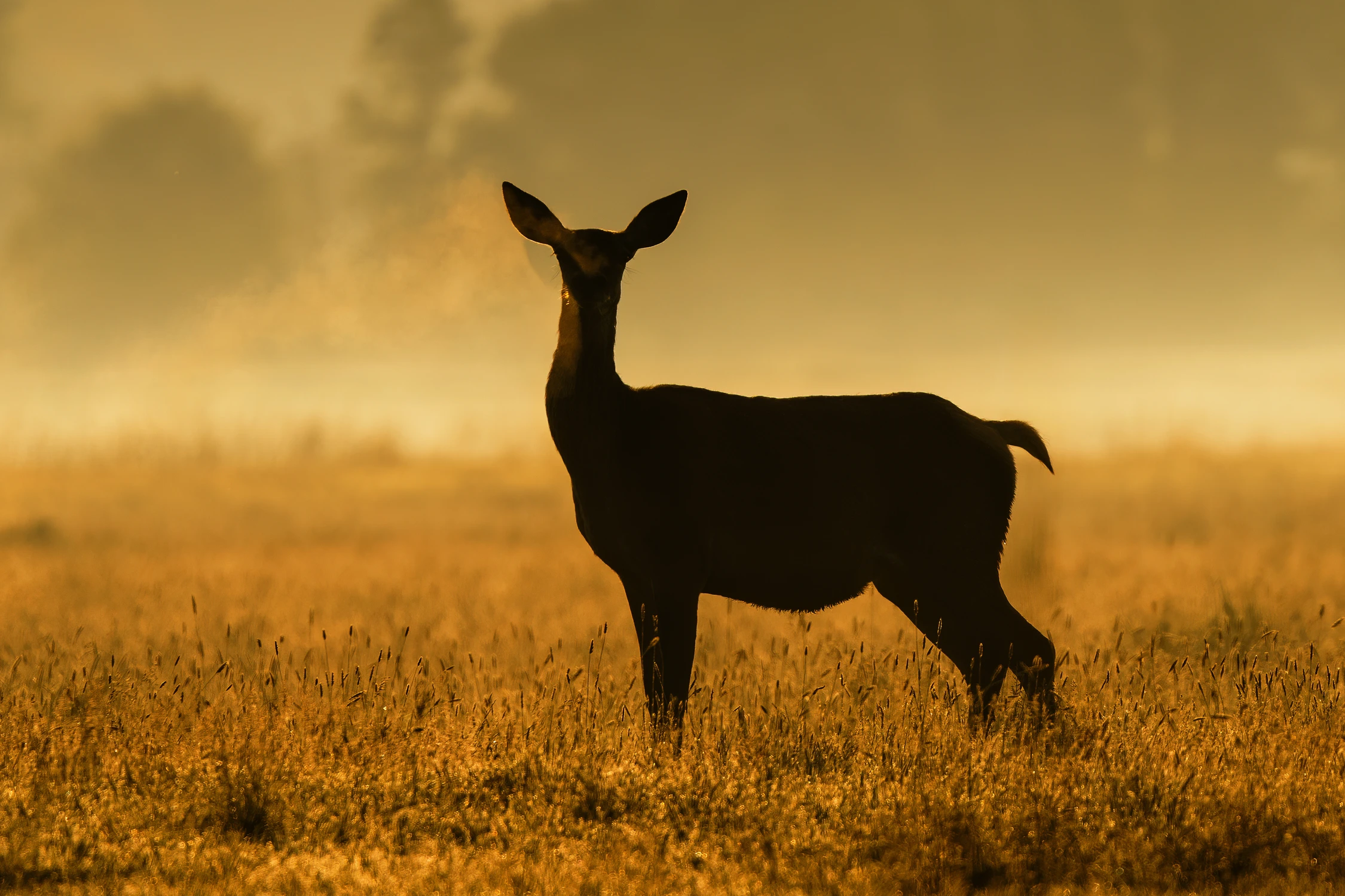 Palę, ale się nie zaciągam 