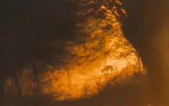 A mówią - nie idź w stronę światła 