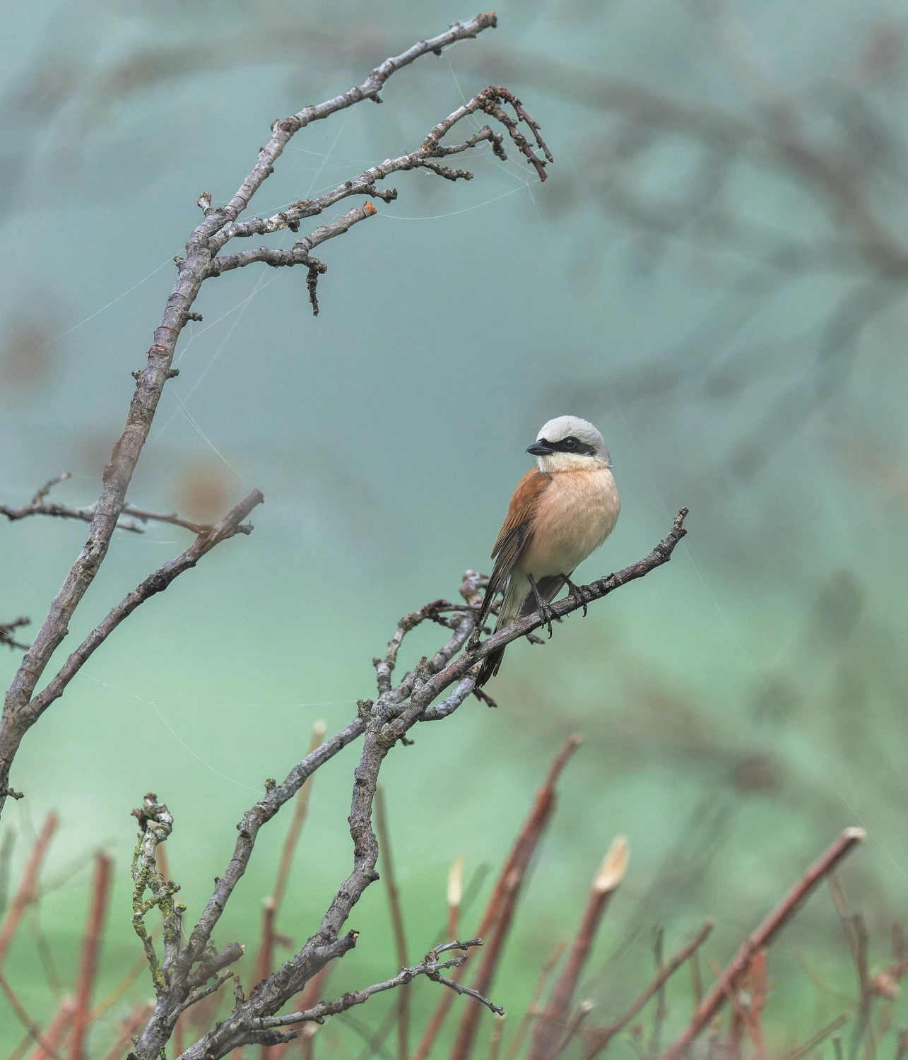 Tak troszkę w bałaganie