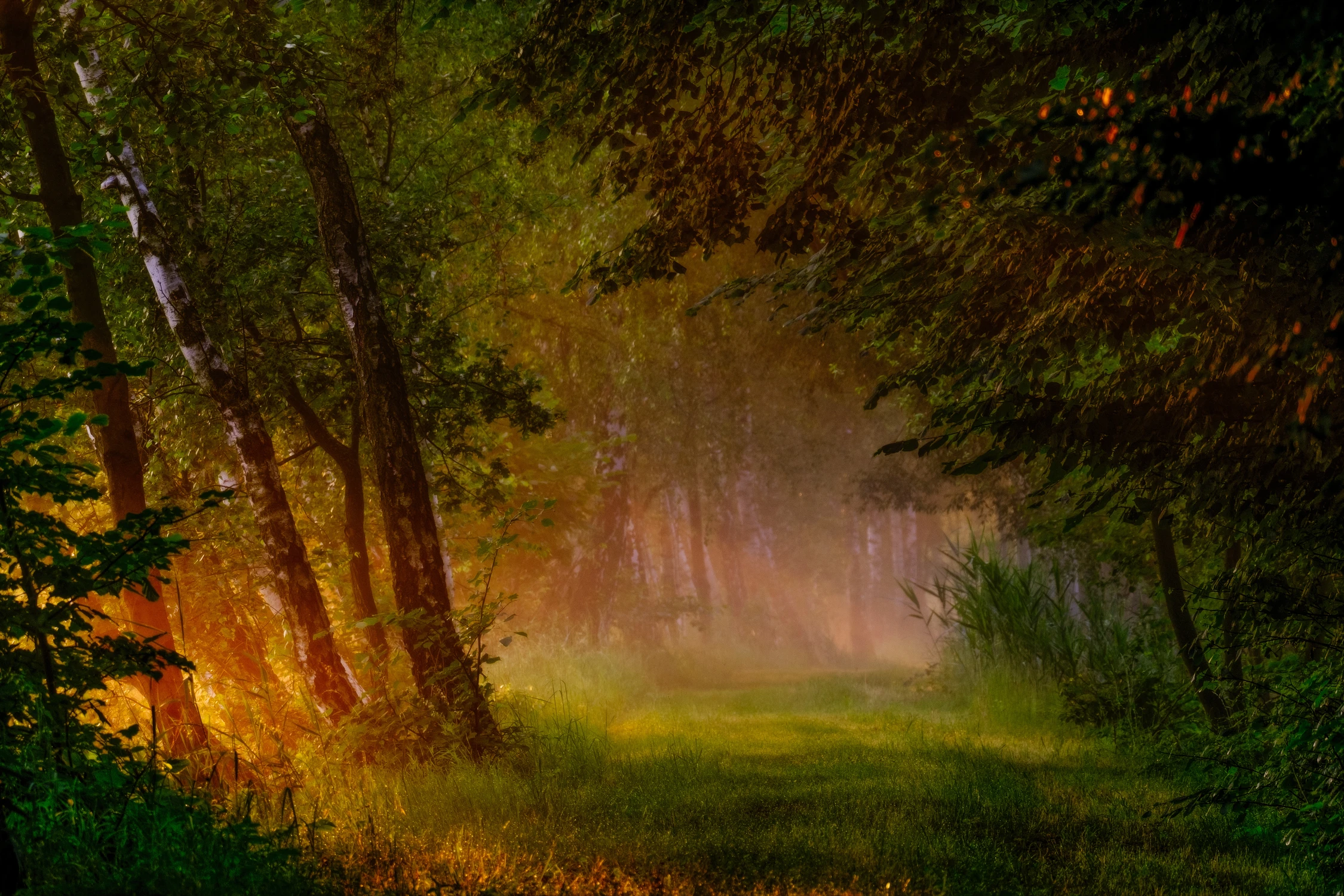 Gdzieś przy stawie 