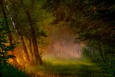 Gdzieś przy stawie 