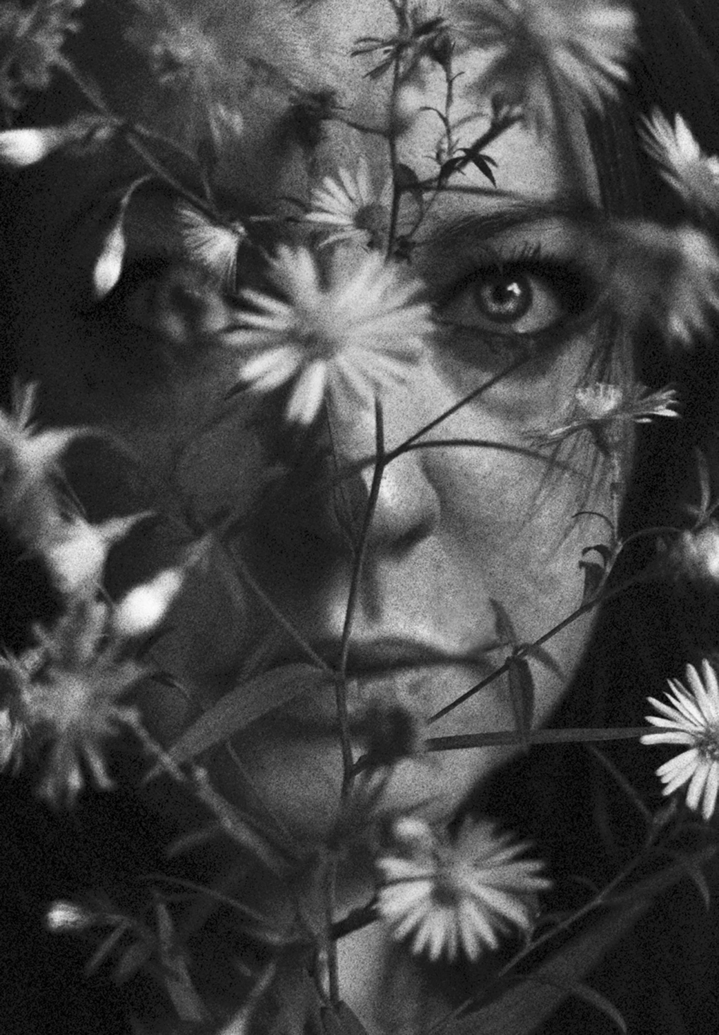 Kto wie, może kiedyś....