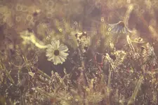 Przestrzeń dla pragnień...