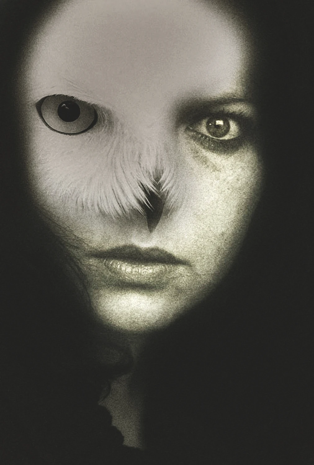 Sowa ze snu budzi się...