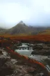 Dark Sky Island