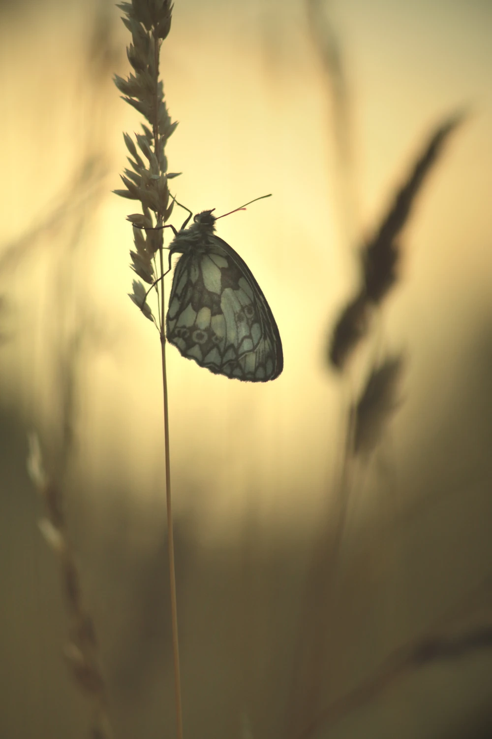 Nadchodzi nowy dzień...