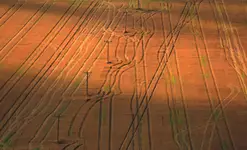 Bóg map nie rozdaje ...