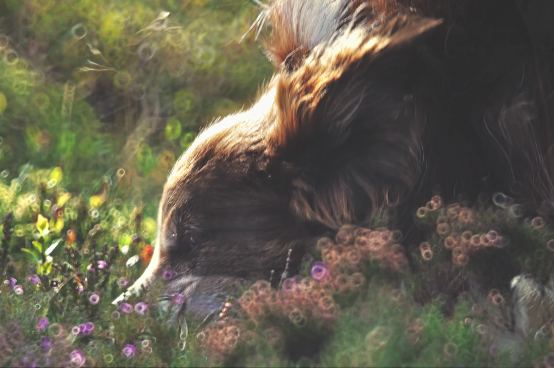 odbicie Twoich snów...