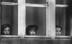 Czarownice idą w dym...