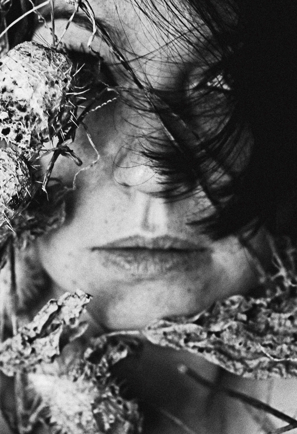 Poznam cię po zapachu snów ...