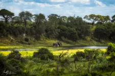 Delta Okawango