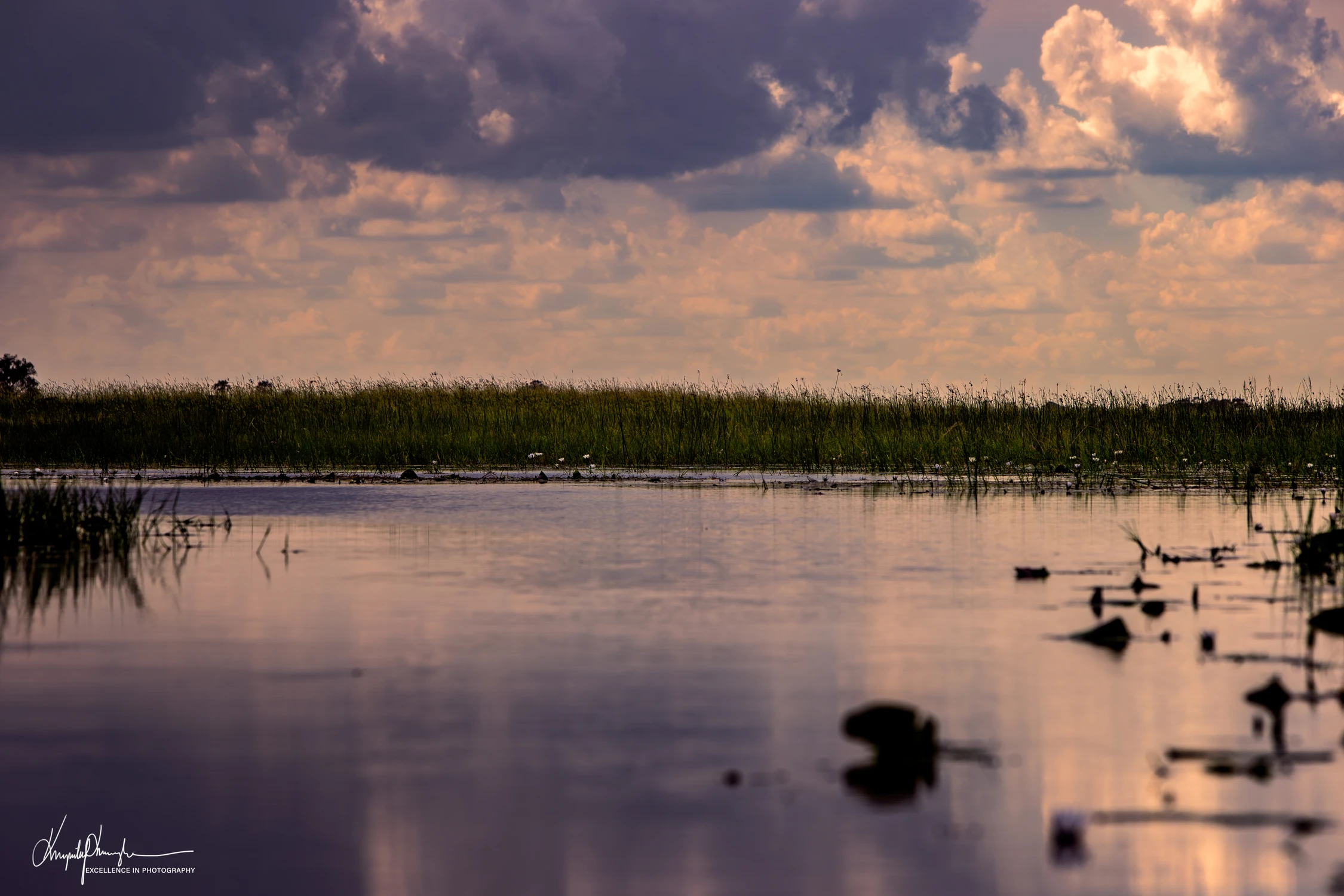 ku wieczorowi nad Okawango
