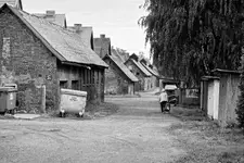 to nie jest kraj dla starych ludzi