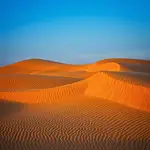 Fale zachodzącego Słońca