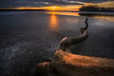 Potwór z jeziora Lubie