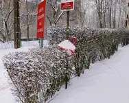  Chciałam przejść obojętnie 