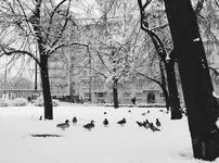 Kacza się przemieszcza