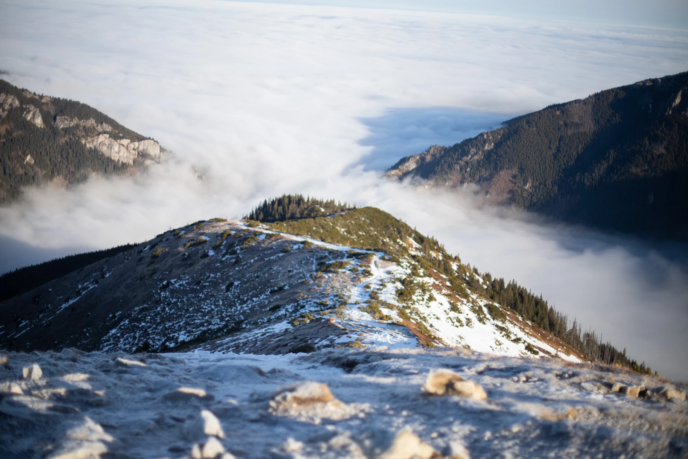 Z Trzydniowiańskiego