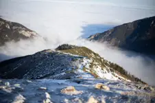 Z Trzydniowiańskiego