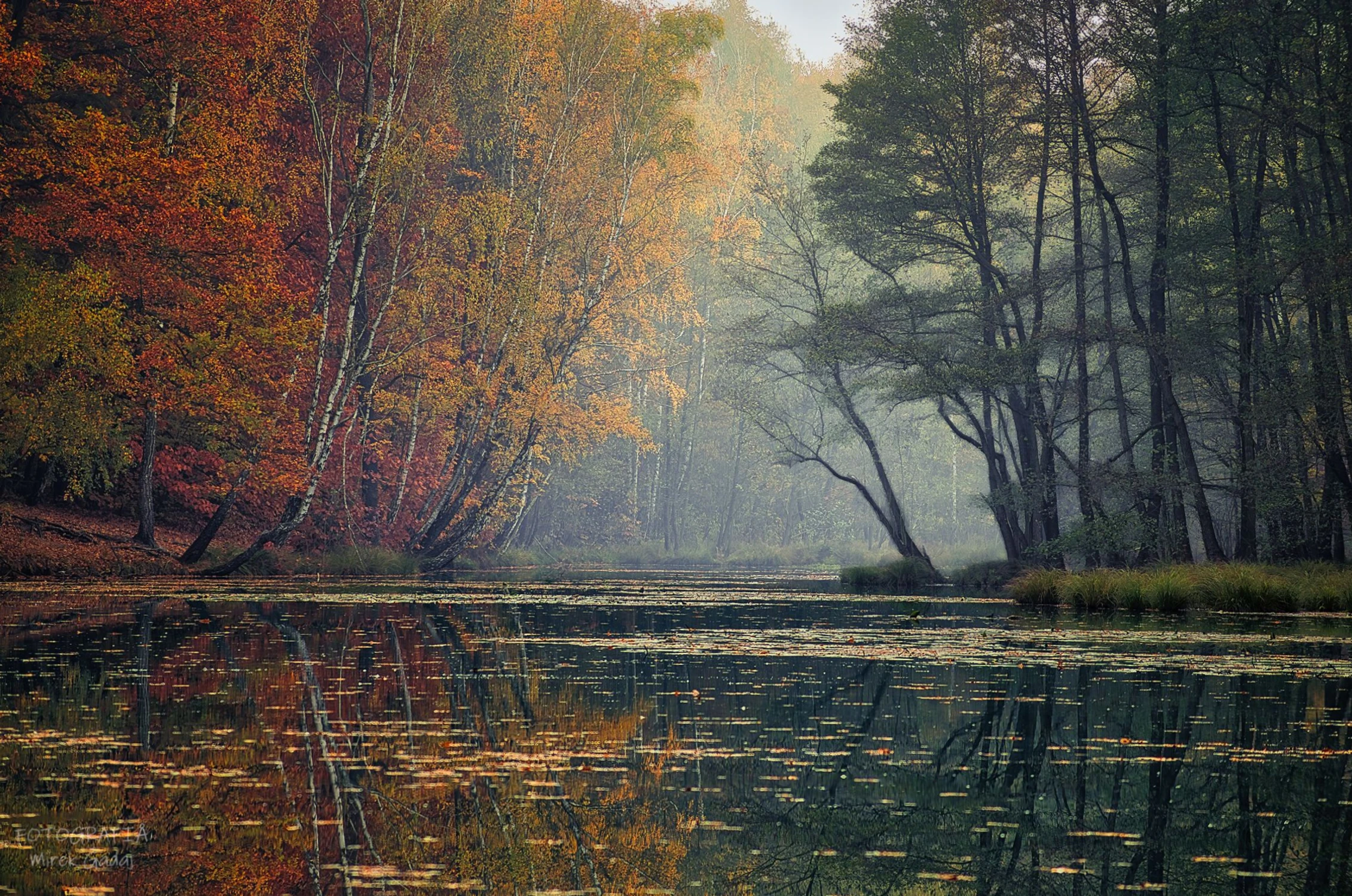 Las i staw Jesienią