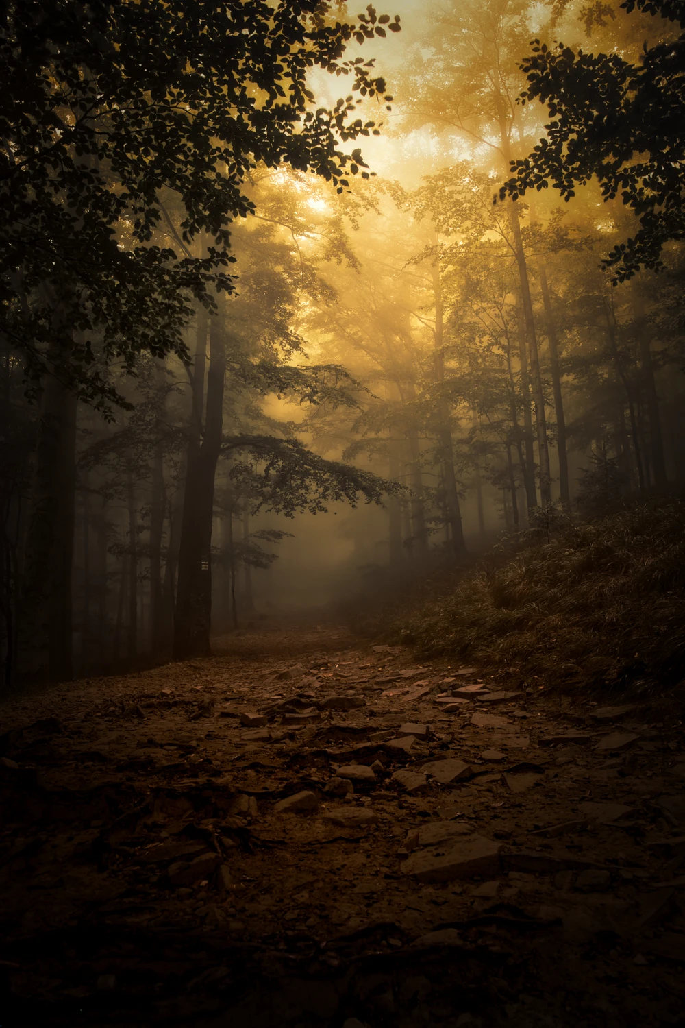 Droga na Szyndzielnie