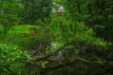 Lost