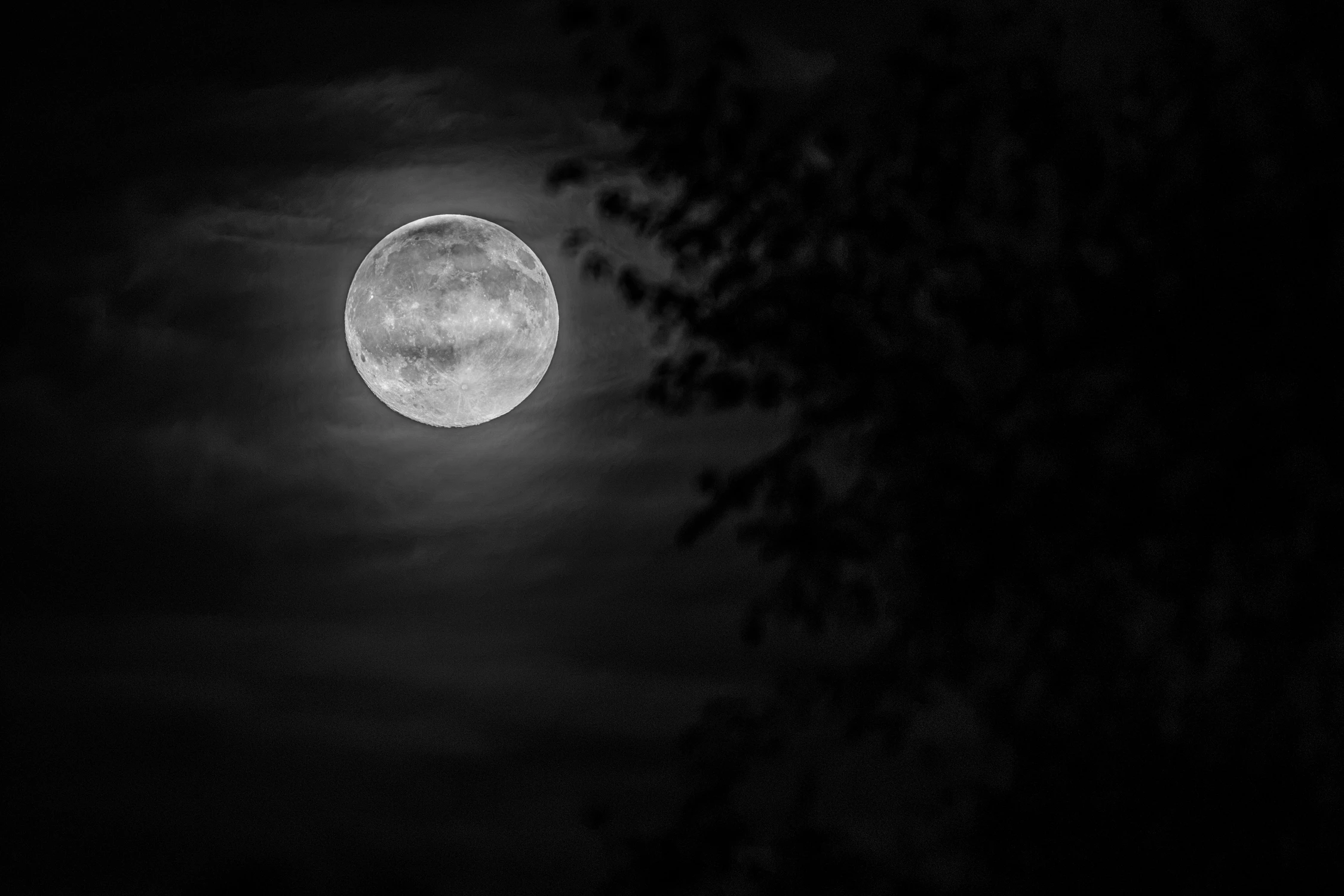 Moon
