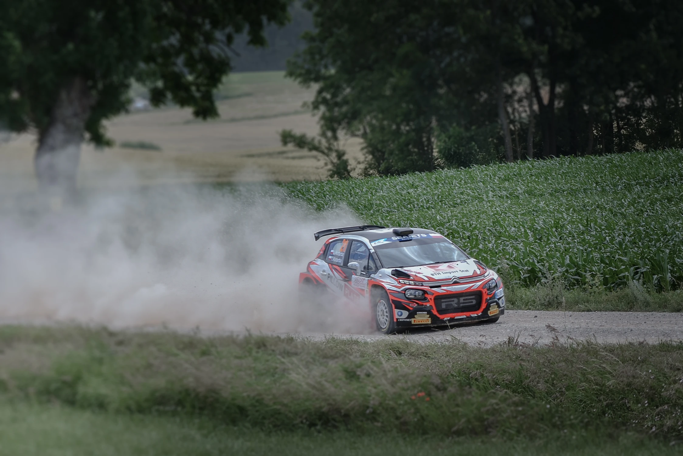 Rally Poland